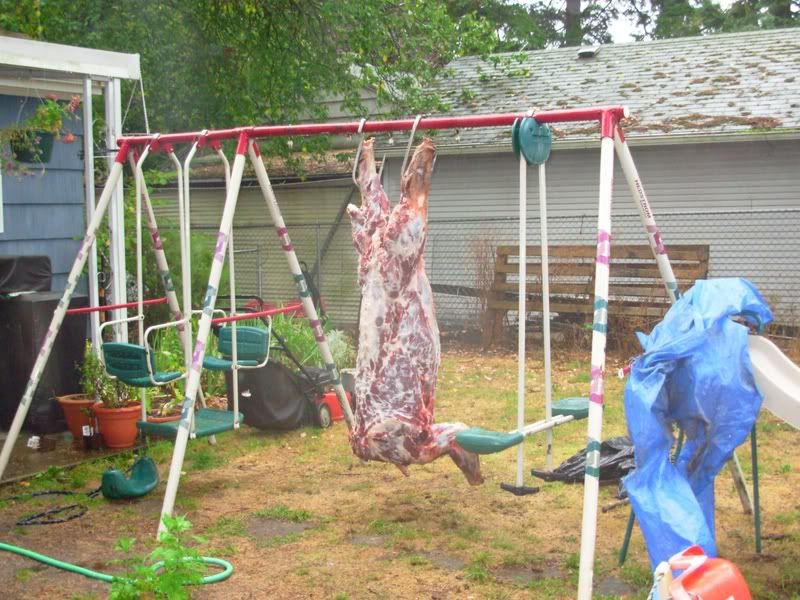 Post your meat pole pictures IFish Fishing Forum